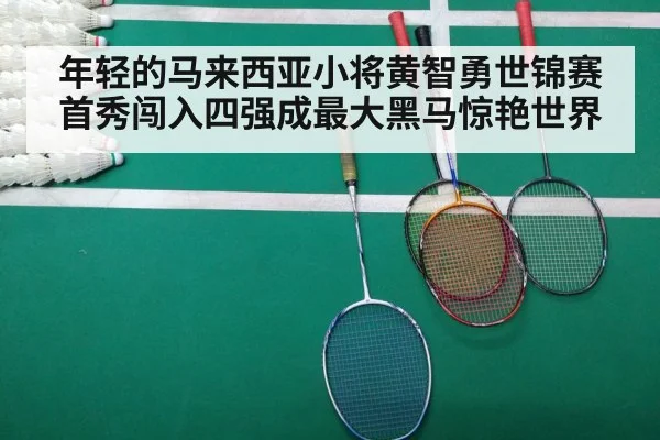 badminton match court